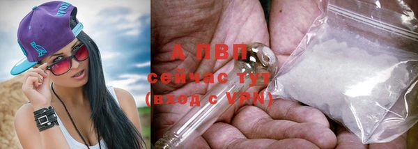 гашик Абаза