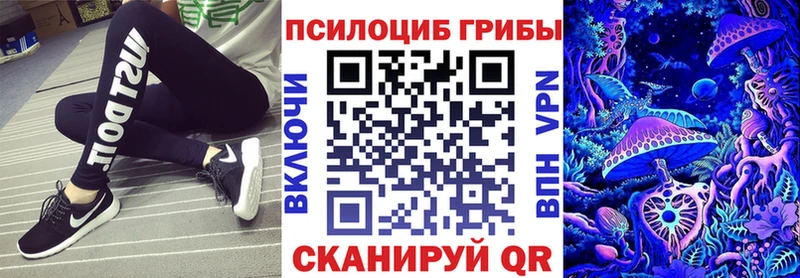 OMG зеркало  как найти закладки  Ртищево  Псилоцибиновые грибы Psilocybine cubensis 
