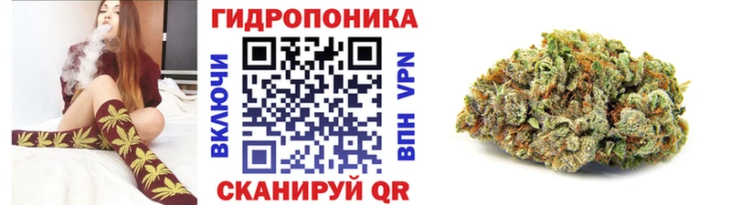 где купить   Ртищево  Шишки марихуана план 